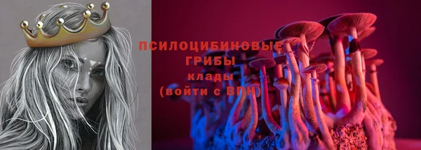 молекула духа Алексин