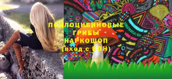 молекула духа Алексин