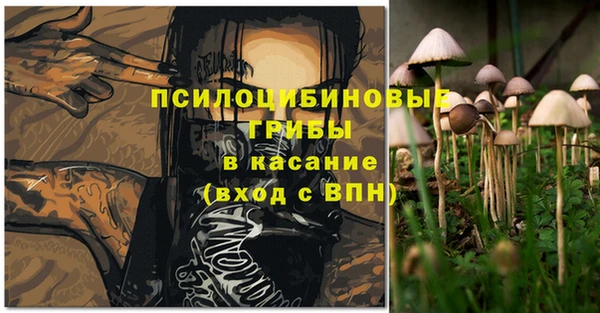 молекула духа Алексин