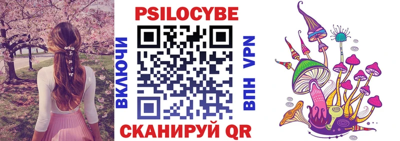Псилоцибиновые грибы Psilocybine cubensis Андреаполь