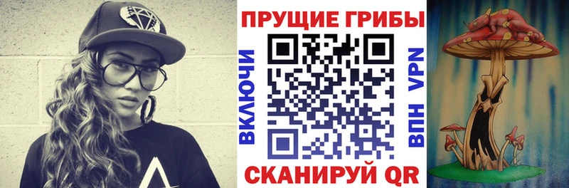 darknet формула  Андреаполь  Галлюциногенные грибы мицелий 